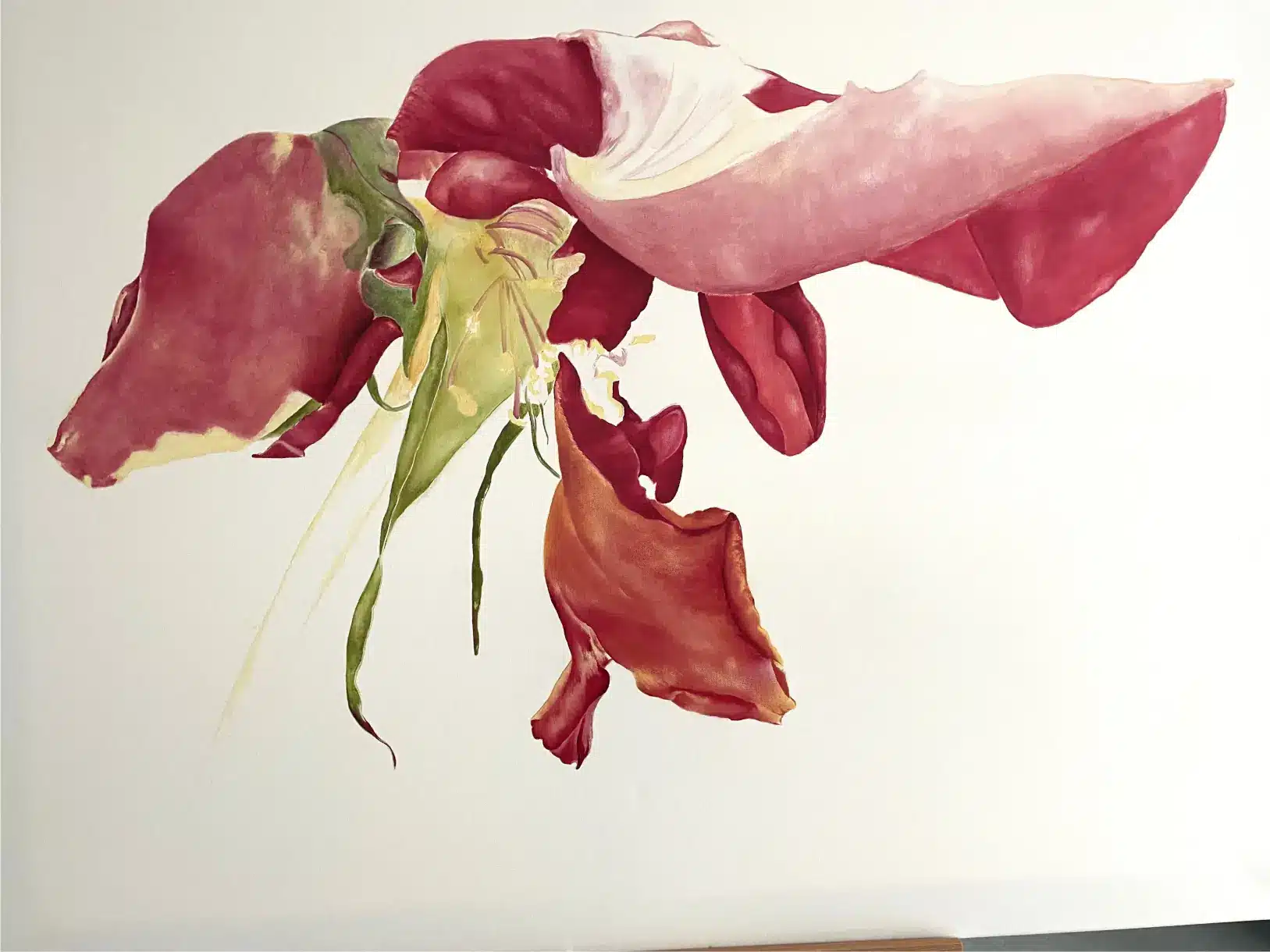 Rose 3A